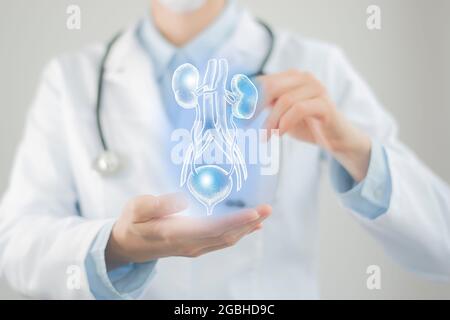 Ärztin hält virtuelle Blase und Nieren in der Hand. Handgezeichnetes menschliches Organ, verschwommenes Foto, rohe Farben. Bestand des Servicekonzepts des Gesundheitskrankenhauses Stockfoto