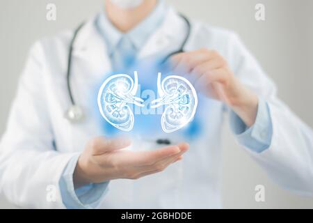 Ärztin hält virtuelle Nieren in der Hand. Handgezeichnetes menschliches Organ, verschwommenes Foto, rohe Farben. Healthcare Krankenhaus Service Konzept Stock Foto Stockfoto