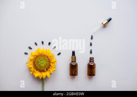 Flache Lage von Sonnenblumen und Sonnenblumenkernen und Flaschen für kosmetisches Serum oder Creme auf hellrosa Hintergrund. Das Konzept von Schönheit und Erhaltung Stockfoto