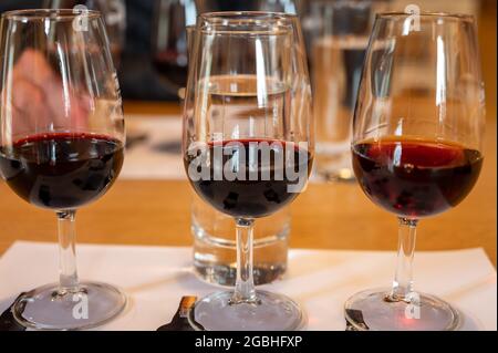 Professionelle Verkostung von verschiedenen angereicherten Dessert Rubin, tawny Portweine in Gläsern in Weinkellern in Porto, Portugal, close up Stockfoto