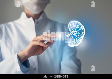 Ärztin mit virtueller Skizze der Milz in der Hand. Handgezeichnetes menschliches Organ, Kopierraum auf der rechten Seite, RAW-Fotofarben. Krankenhaus im Gesundheitswesen Stockfoto