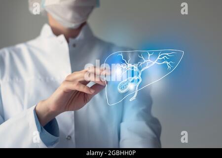 Ärztin berührt virtuelle Gallenblase in der Hand. Verschwommenes Foto, handgezeichnetes menschliches Organ, blau markiert als Symbol der Genesung. Krankenhaus im Gesundheitswesen Stockfoto