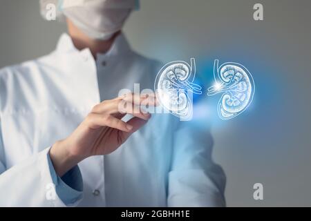 Ärztin berührt virtuelle Nieren in der Hand. Verschwommenes Foto, handgezeichnetes menschliches Organ, blau markiert als Symbol der Genesung. Gesundheitswesen Krankenhaus Service Stockfoto