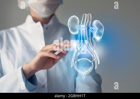 Ärztin berührt virtuelle Blase und Nieren in der Hand. Verschwommenes Foto, handgezeichnetes menschliches Organ, blau markiert als Symbol der Genesung. Gesundheitswesen Stockfoto