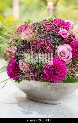 botanik, Bouqet verschiedene Blumen in Beerenfarben, ZUR GRUSSKARTEN-/POSTKARTENVERWENDUNG IN KIM.SPEAK.C ES KÖNNEN BESTIMMTE EINSCHRÄNKUNGEN GELTEN Stockfoto