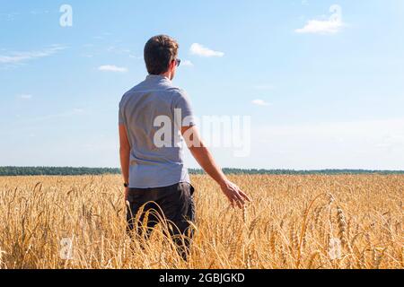 Getreideanbau. Schöne ländliche Landschaft mit gelben Pflanzen und blauem Himmel. Weizen auf dem russischen Feld. Ein männlicher Bauer kontrolliert die Reife von WH Stockfoto