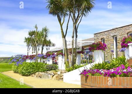 St Ouen, Jersey, Channel Islands, Großbritannien - 7. Juli 2016: Subtropische Vegetation auf der Cafeterrasse des Jersey Pearl Showrooms an einem sonnigen Sommertag. Stockfoto