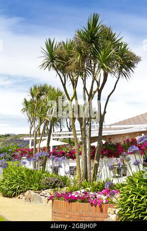 St Ouen, Jersey, Channel Islands, Großbritannien - 7. Juli 2016: Subtropische Vegetation auf der Cafeterrasse des Jersey Pearl Showrooms an einem sonnigen Sommertag. Stockfoto