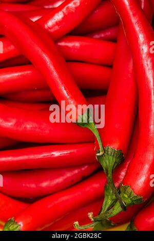 Nahaufnahme von roten Chili-Paprika Stockfoto