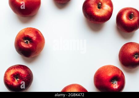 Leckere saftige rote Rayal-Galaäpfel auf grauem Hintergrund. Draufsicht. Herbstkomposition. Stockfoto