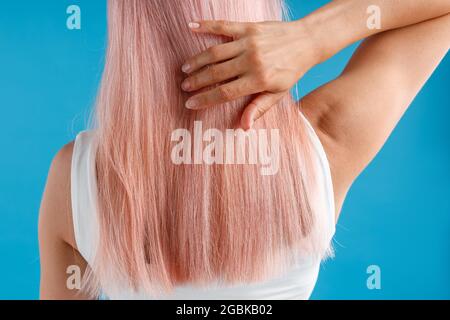 Nahaufnahme einer Frau, die ihr glattes, glattes, natürliches, langes, rosa gefärbtes Haar berührt, während sie isoliert auf blauem Studiohintergrund posiert Stockfoto