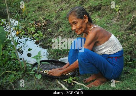 Eine ältere Frau aus der ethnischen Rakhain-Gemeinde wäscht das Fleisch von Schnecken in einer Pfütze. Kuakata, Patuakhali, Bangladesch. 4. August 2008. Stockfoto