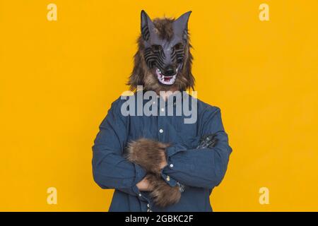 Auf einem gelben Hintergrund ist ein Werwolf in einem blauen Hemd mit gekreuzten Armen gekleidet. Stockfoto