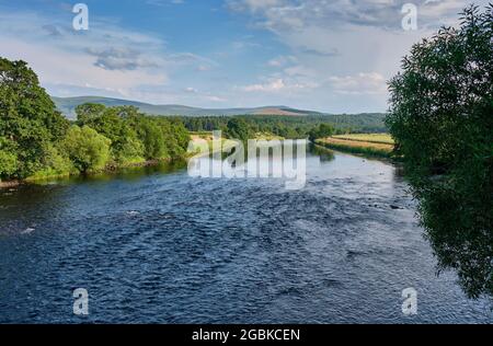 Der Fluss Spey in Cromdale, in der Nähe von Grantown-on-Spey, Speyside, Schottland Stockfoto