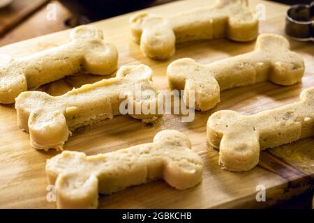 Knochen geformter Plätzchen, der kurz vor dem Kochen steht, roher Teig, hausgemachter Haustier-Snack Stockfoto