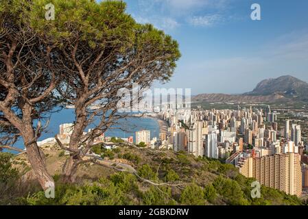 Die Wolkenkratzer von Benidorm vom Berg La Creu (Kreuz) aus gesehen, Spanien Stockfoto