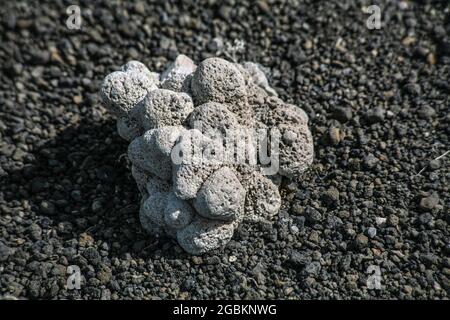 Das Mono Basin von Kalifornien mit dem Mono Lake im Zentrum ist eine Landschaft von einzigartigem ästhetischen Reiz und wissenschaftlichem Interesse. Eine landschaftlich reizende Gegend. Stockfoto