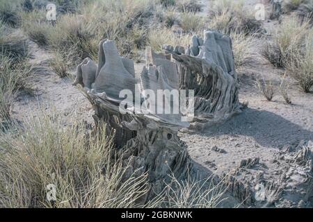 Das Mono Basin von Kalifornien mit dem Mono Lake im Zentrum ist eine Landschaft von einzigartigem ästhetischen Reiz und wissenschaftlichem Interesse. Eine landschaftlich reizende Gegend. Stockfoto