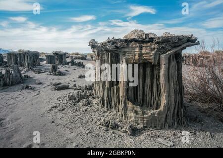 Das Mono Basin von Kalifornien mit dem Mono Lake im Zentrum ist eine Landschaft von einzigartigem ästhetischen Reiz und wissenschaftlichem Interesse. Eine landschaftlich reizende Gegend. Stockfoto