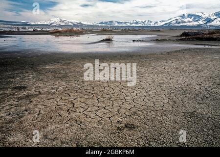 Das Mono Basin von Kalifornien mit dem Mono Lake im Zentrum ist eine Landschaft von einzigartigem ästhetischen Reiz und wissenschaftlichem Interesse. Eine landschaftlich reizende Gegend. Stockfoto