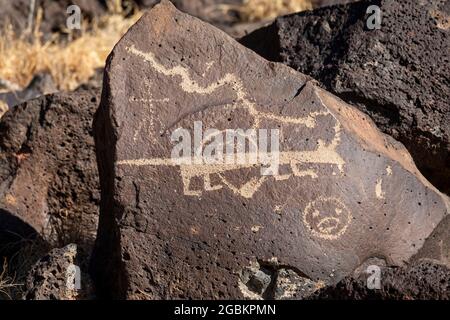 Albuquerque, New Mexico - die Rinconada Canyon Einheit des Petroglyph National Monument. Stockfoto