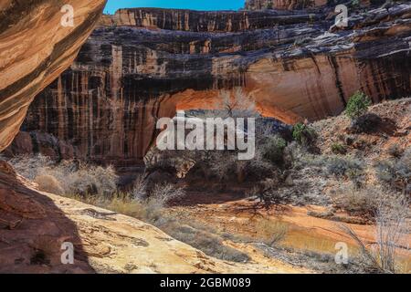 Die drei prachtvollen Brücken, die im White Canyon vom Wasser geformt wurden, wurden 1908 von Präsident Theodore Roosevelt zum Nationaldenkmal erklärt. Stockfoto