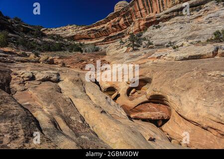 Die drei prachtvollen Brücken, die im White Canyon vom Wasser geformt wurden, wurden 1908 von Präsident Theodore Roosevelt zum Nationaldenkmal erklärt. Stockfoto