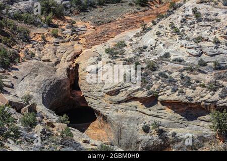 Die drei prachtvollen Brücken, die im White Canyon vom Wasser geformt wurden, wurden 1908 von Präsident Theodore Roosevelt zum Nationaldenkmal erklärt. Stockfoto