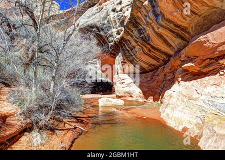 Die drei prachtvollen Brücken, die im White Canyon vom Wasser geformt wurden, wurden 1908 von Präsident Theodore Roosevelt zum Nationaldenkmal erklärt. Stockfoto