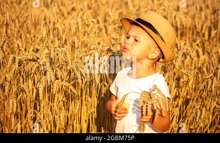 Die Kinder im Weizenfeld essen Kekse. Natur. Selektiver Fokus Stockfoto