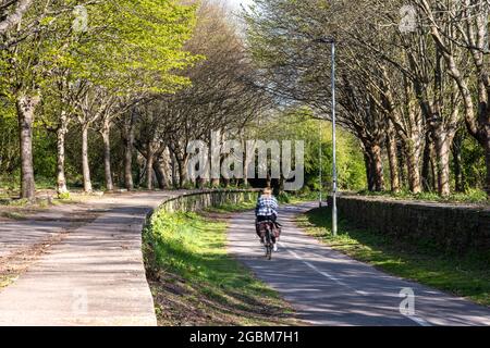 An einem sonnigen Frühlingstag fahren Radfahrer auf den Plattformen der Mangotsfield Station auf dem Bristol and Bath Railway Path an Bäumen vorbei. Stockfoto