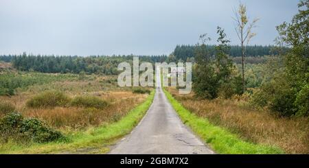 Die Old Drymen Road Country Lane, Teil der National Cycle Network Route 7, führt durch die Plantagenforstwirtschaft am Loch ARD Forest in Schottland. Stockfoto