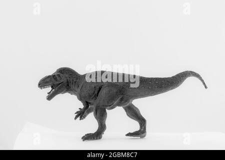 Kleiner Plastikspielzeug-Dinosaurier auf Weiß Stockfoto