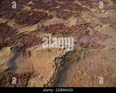 Nahaufnahme von Gesteinsmustern getrocknete Erde, die eine Mars-ähnliche Landschaft in der Danakil-Depression in Äthiopien bildet. Stockfoto