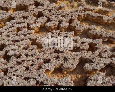 Nahaufnahme von Gesteinsmustern, die eine Mars-ähnliche Landschaft im Hintergrund der Danakil-Depression in Äthiopien bilden. Stockfoto