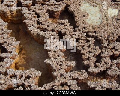 Nahaufnahme von Gesteinsmustern, die einen Hintergrund bilden Mars wie Landschaft Danakil Depression, Äthiopien. Stockfoto