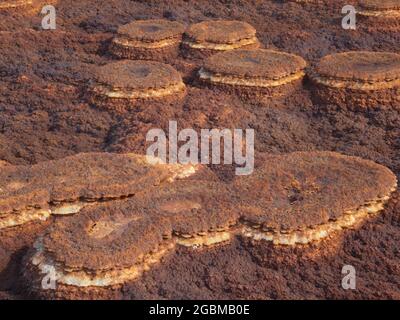 Nahaufnahme von Gesteinsmustern bilden Mars wie Landschaft Danakil Depression heißesten Ort auf der Erde, Äthiopien. Stockfoto