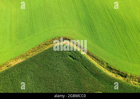 Luftaufnahme von grünen Feldern und Cutoff Stockfoto