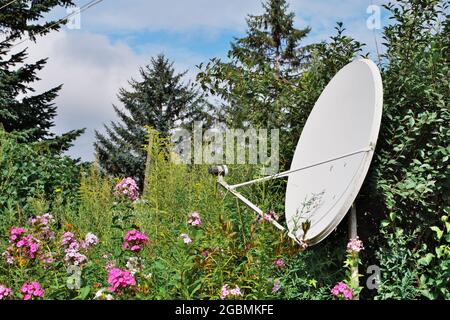 Eine in ländlichen Gebieten installierte Satellitenschüssel für den qualitativ hochwertigen Empfang eines Fernsehsignals. Selektiver Fokus. Stockfoto