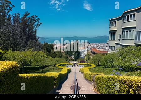 Blick auf die Lyon Street Stufen zum Palast der Schönen Künste und Bucht, San Francisco, Kalifornien, USA Stockfoto