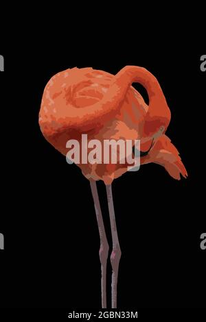 Ein Seitenprofil eines Flamingo-Vektorkunstwerks. Stock Vektor