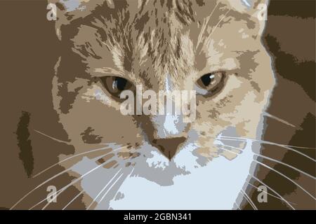 Vektorbild einer Katze aus der Nähe. Stock Vektor