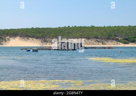 Schwimmende Holzkonstruktion in der Gemeinde Sesimbra, Setubal, wo die Fischer in Portugal an ihren Netzen und Booten arbeiten Stockfoto