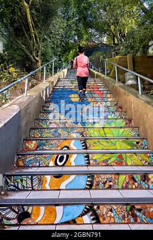 The Hidden Garden Steps, San Francisco, California, USA Stockfoto