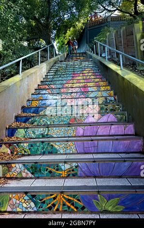 The Hidden Garden Steps, San Francisco, California, USA Stockfoto