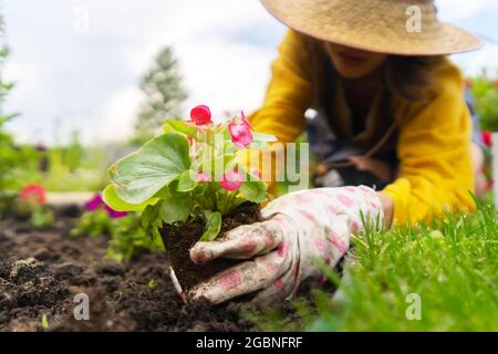 Nahaufnahme der Hände eines jungen Gärtners mit einem Sämling in einem Torftopf. Stockfoto