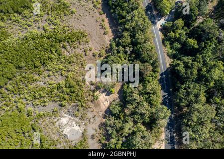 Luftaufnahme über Mangroven bei Ebbe und neben einer Straße auf einer Touristenroute zu einem Strand. Cape Hillsborough, Queensland, Australien Stockfoto