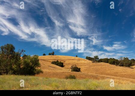 Dramatische, wispige Wolken über den goldenen Hügeln in der Nähe von Sutter Creek, Kalifornien Stockfoto