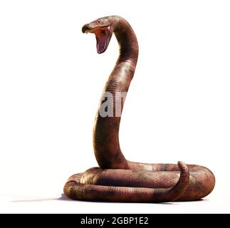 Titanoboa, mit bis zu 12.8 Metern die größte Schlange, die je gelebt hat, isoliert auf weißem Hintergrund Stockfoto