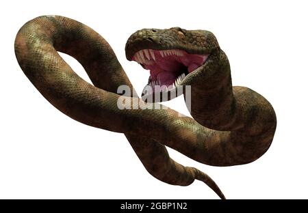 Titanoboa, die größte Schlange, die je gelebt hat, isoliert auf weißem Hintergrund (3d-Illustration) Stockfoto